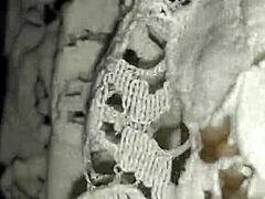 My ex girlfriend wearing stockings in homemade video