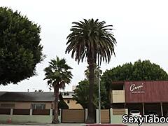 Busty lesbian seduces milf into taboo sixtynining.