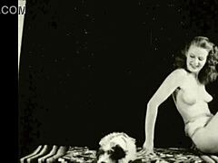 dark lantern entertainment shares a vintage tale of beauty and the beast with antique scenes and retro vibes