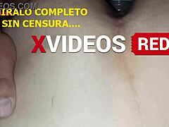 trailer trio mi esposo me comparte con su compadre parte 2 ya disponible en xvideos red