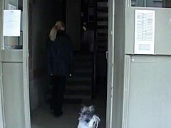 Caregiver interacts with her cat on the ward