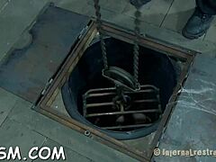 sadomasochism with electricity, bondage, sucking cock, punished cunt