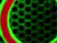 Charlee Chase își freacă clitorisul tare cu jucăria în pizdă. Geme în joaca solo cu fundul