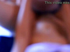 Is this your sister's companion in your house?