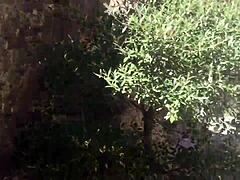 Hey, watch this blonde couple sucking and swallowing cum on a public hiking trail deepthroat style