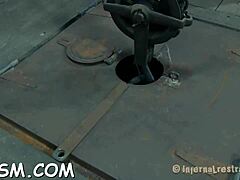 sadomasochism with electricity, bondage, sucking cock, punished cunt