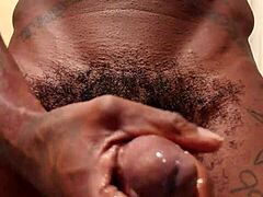 i worship this big black hairy cock with hallelujah johnson