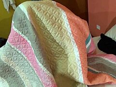 Loses in Fall Guys and Pays Bet