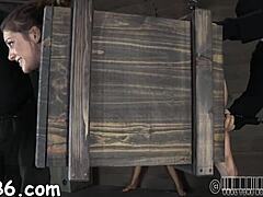 hey, these nasty bdsm stories with sucking and fucking are wild 😈