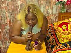 Sundaydogood614 - update 325 - vid 20240717 041556 - jul 17 2024