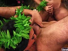 Изгнанник попадает на остров шемейлов, и они все жаждут бэребэк. Дела становятся дикими быстро с интеррасовой игрой с жопой!