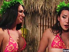 Castaway lands on shemale island, and they’re all craving bareback action. Things get wild fast with interracial ass play!