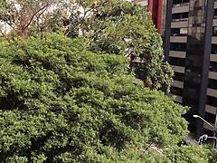 Novinha Otaku Fazendo Um Belo Boquete Babado Na Sacada Do Meu Apartamento.