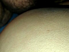 Discovering the Vibrant Culture of Mexico