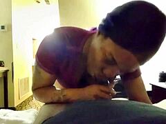 Blow and go plus extras