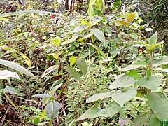 walking in the bush with a black fat pussy