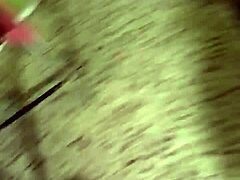 merry shemale ecaterinax brings holiday cheer with her shemale adventures 😄