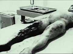 آي rapporto dil bombardilo crocodilo... انتظر، هذا مثل أشياء فاحشة قديمة عتيقة، أليس كذلك؟ يشعر بالرجعية والبرية!