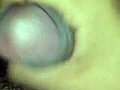 mexican cock throbbing and ready for action