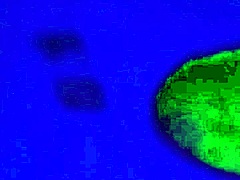 Naughty Slut Wife Wants Anal Fucking Curly Beautiful!