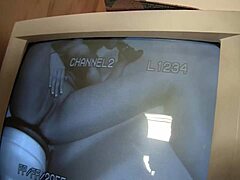 Solo Dayna Vendetta Sucks Big Thick Black Monster Cock In Interracial Revenge Blowjob Through Glory Hole!