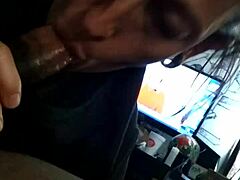 puerto rican mother-in-law gives uncle daddy father-in-law blowjob sucking cock in caribbean mommy style.