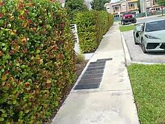 sneaky teen charlette mae has public sex with scott stark in household fantasy