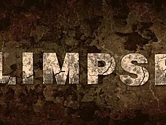 Vintage bizarre Dark Lantern Entertainment presents antique diaries.