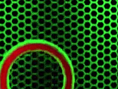 Nurse Kimber Lee Teases In Pantyhose And Stockings For Solo Fun 😊