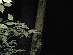 watch the sneaky outside creampie ending