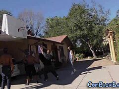 Buxom Whore Feels Gang Banged!