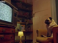 Candee Licious And Lili Charmelle Indulge In Out-Of-Control Threesome With Toys And Hot Oral Sex!