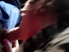 brazilian shemale gives oral in car