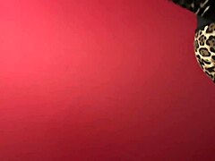 Seductive strip tease contrasts with provocative exhibition show.