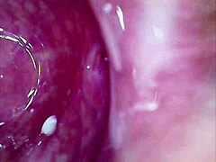 Real Pussy Orgasm Contractions with Sperm in Juice Under Microscope!