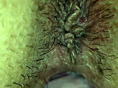 De Perrito Le Introduzco Toda La Verga