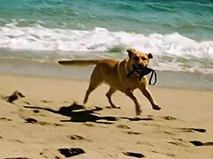 Lucy enjoys a nude beach day in this AI story.