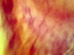 Real Pussy Orgasm Contractions with Sperm in Juice Under Microscope!