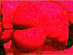 Fucking that hot morena with big ass at the beach!