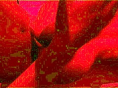 Fucking that hot morena with big ass at the beach!