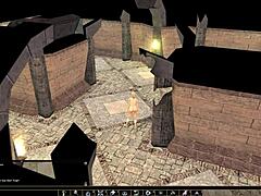 lets play neverwinter nights with nude mod and questline