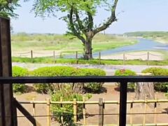 Exploring Tochigi's Strawberries and Hot Springs