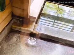 Exploring Tochigi's Strawberries and Hot Springs