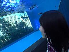 Full Version Https Bit Ly 39jkqdv