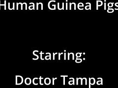 dr tampa explores human guinea pigs in hospital with solana