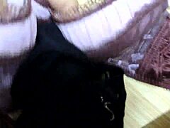 Intense cumshot on step sister's pink leopard bra and black lingerie.