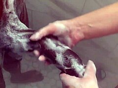 الأخت غير الشقيقة الكبيرة تلعب بزب أخيها الكبير