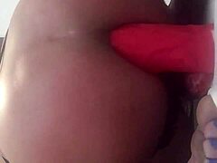 Sexy girl stephanie james in concentr8 series with transsexual and crossdressing elements!