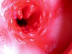 Massive Cock Fills Hole