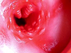 Massive Cock Fills Hole